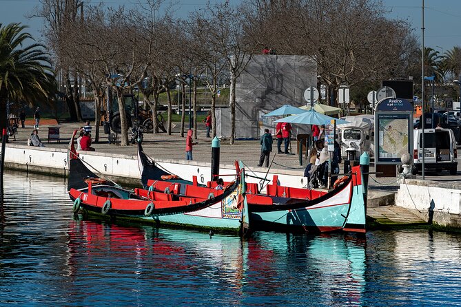 Moliceiro Boat Tour on the Ria de Aveiro - Who Should Book This Moliceiro Tour on the Ria de Aveiro?