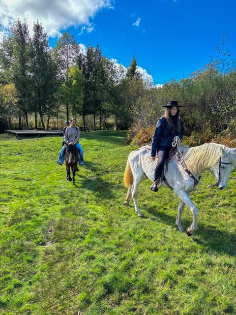 Mountain Horseback Ride & Lunch - Why this Douro Valley ride feels like a reset