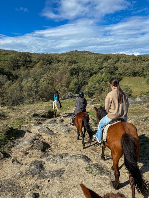 Mountain Horseback Ride & Lunch - Getting started with smart pickup options across Viseu District