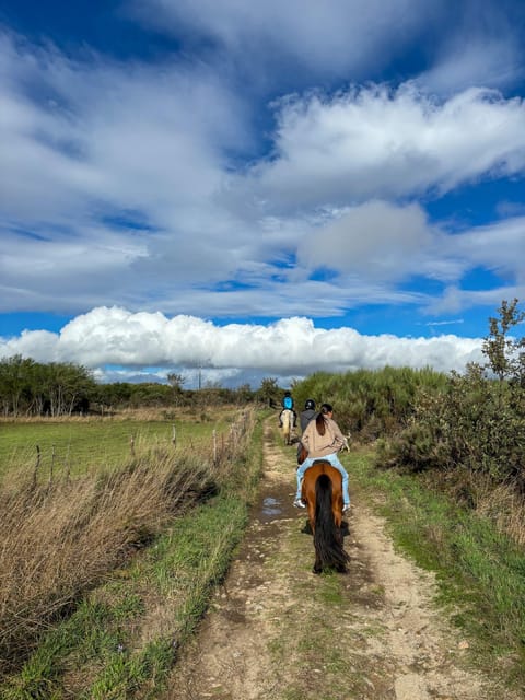 Mountain Horseback Ride & Lunch - The forest lunch: farm-to-table meat in a calm natural setting
