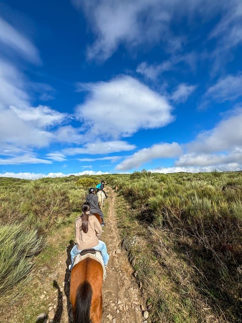 Mountain Horseback Ride & Lunch - Who this tour suits best (and who should think twice)