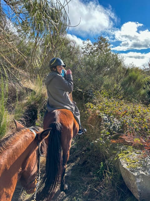 Mountain Horseback Ride & Lunch - Weather reality: rain can be part of the experience