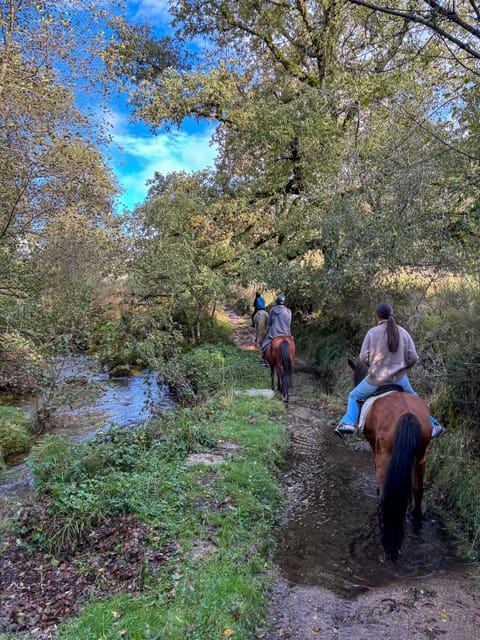 Mountain Horseback Ride & Lunch - The small details that make a big difference