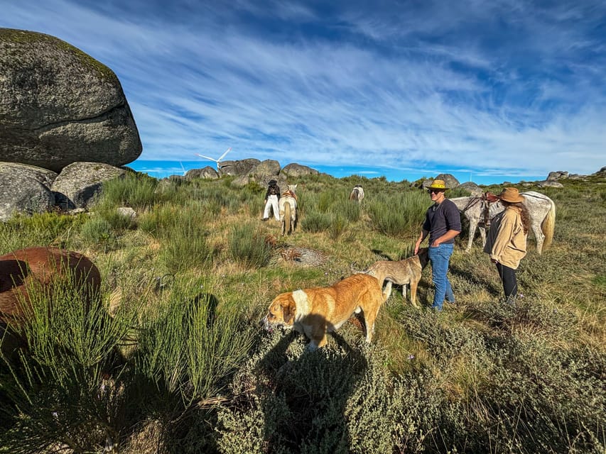 Mountain Horseback Ride & Lunch - Two hours on horseback: streams, grazing animals, and Romanesque bridges