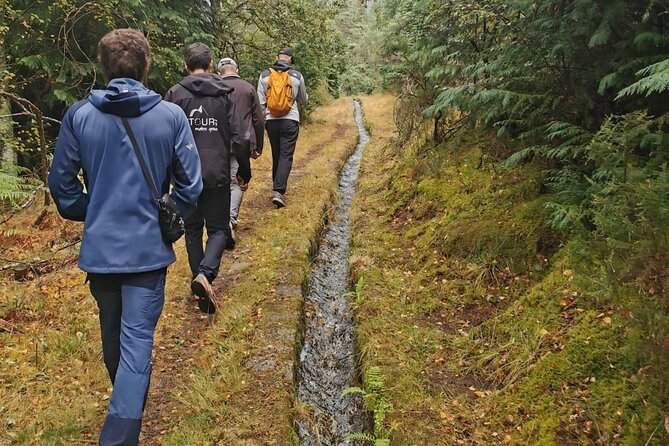 Nature and Green Wine Tasting Tour - How the day runs: a nature-first schedule from Porto
