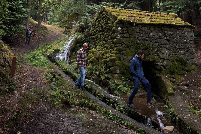 Nature and Green Wine Tasting Tour - Casa de Penedo: stone-house wonder with a guided property visit