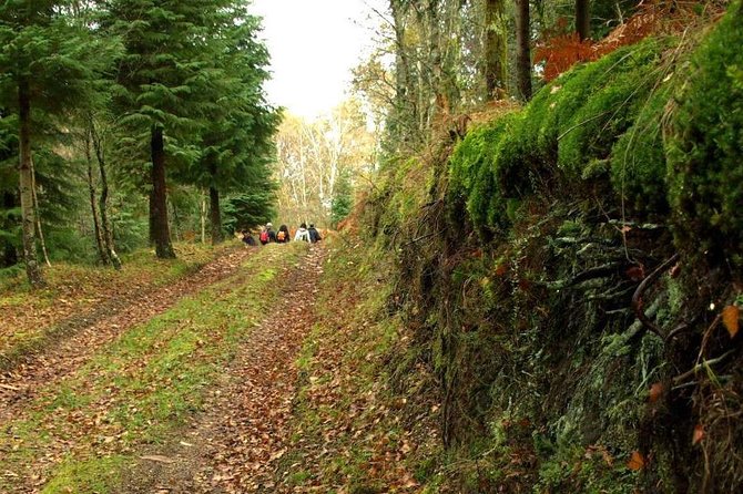 Nozzle Horn Protected Landscape Area - Electric-car comfort and a small group start from Braga
