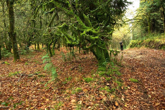 Nozzle Horn Protected Landscape Area - Should you book this Corno de Bico + Paredes de Coura day?
