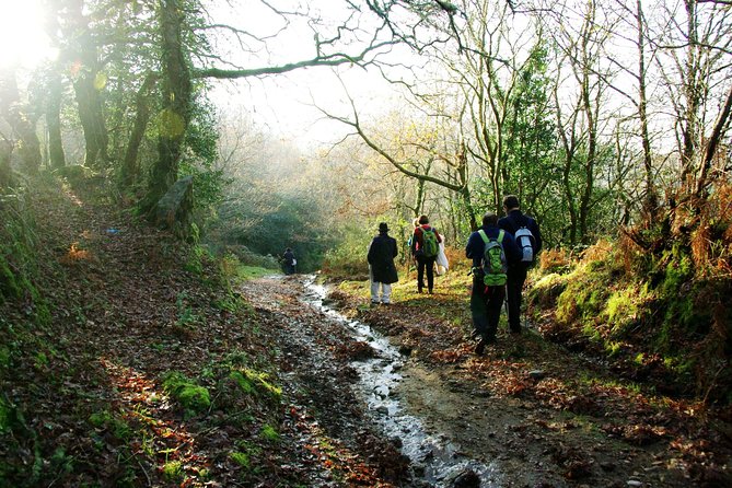 Nozzle Horn Protected Landscape Area - The Corno de Bico Protected Area hike: what you’ll actually feel on the trail