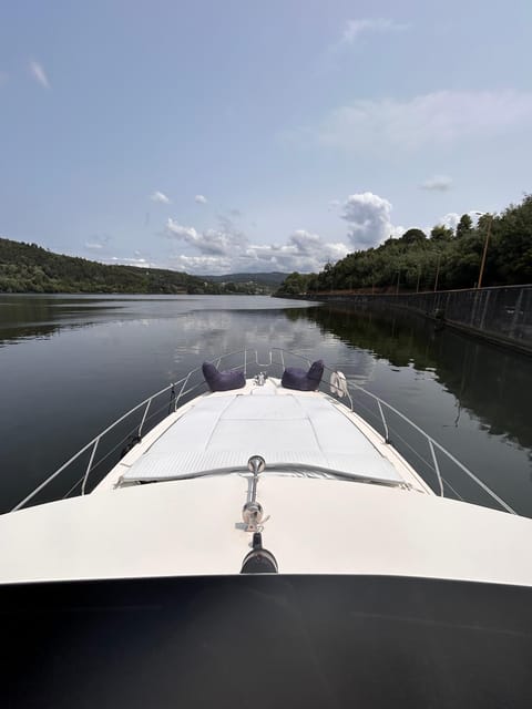 Passeio de barco rio douro inesquecível - The Douro estuary entrance and bird reserve area: a nature break from the city
