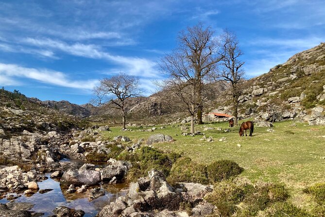 Peneda-Gerês Hiking & Sightseeing: Private Experience - Price and value: what $144.82 gets you (and what it doesn’t)