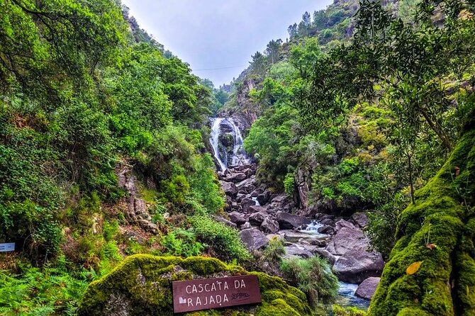 Peneda - Gerês National Park Lagoons and Waterfalls -Private Tour - Inside Peneda–Gerês: lagoons and waterfalls on a guided route