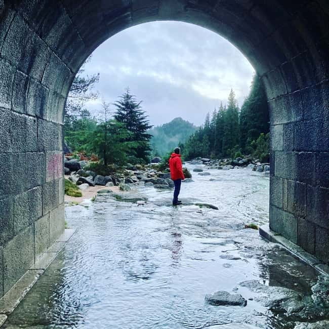 Peneda Geres National Park: Private Tour with a Guide - How Carlos and other guides keep things smooth in real conditions