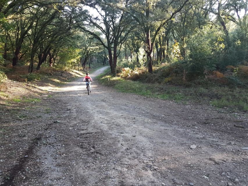 Peneda Gerês National Park: Self-Guided Electric Bike Tour - Key highlights to know before you pedal