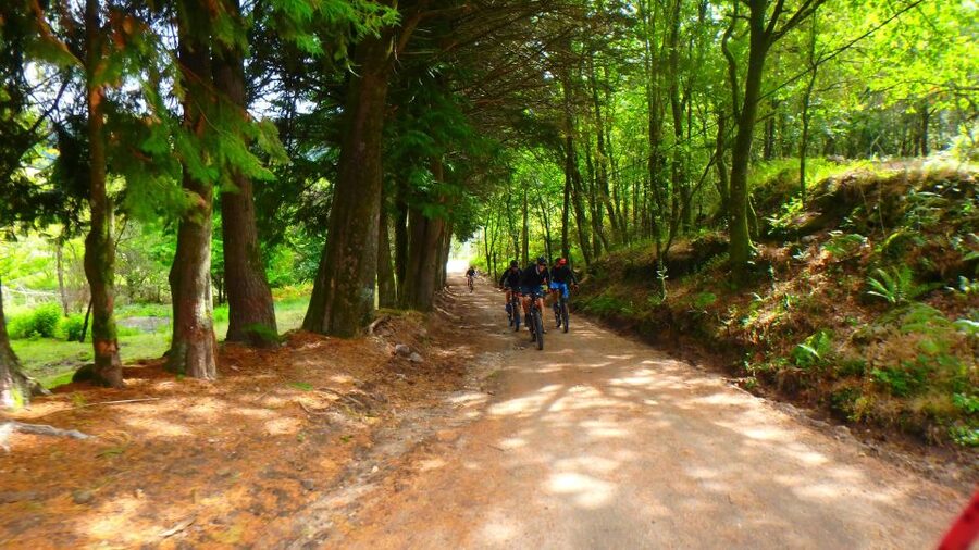 Peneda Gerês National Park: Self-Guided Electric Bike Tour - Who should do this Peneda-Gerês e-bike route (and who shouldn’t)