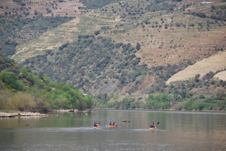 Pinhão: 4 Hour Douro Valley Kayak Rental - Where this experience shines (and who should choose it)