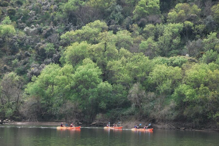 Pinhão: 4 Hour Douro Valley Kayak Rental - Self-guided kayak time: how “autonomous” feels in real life