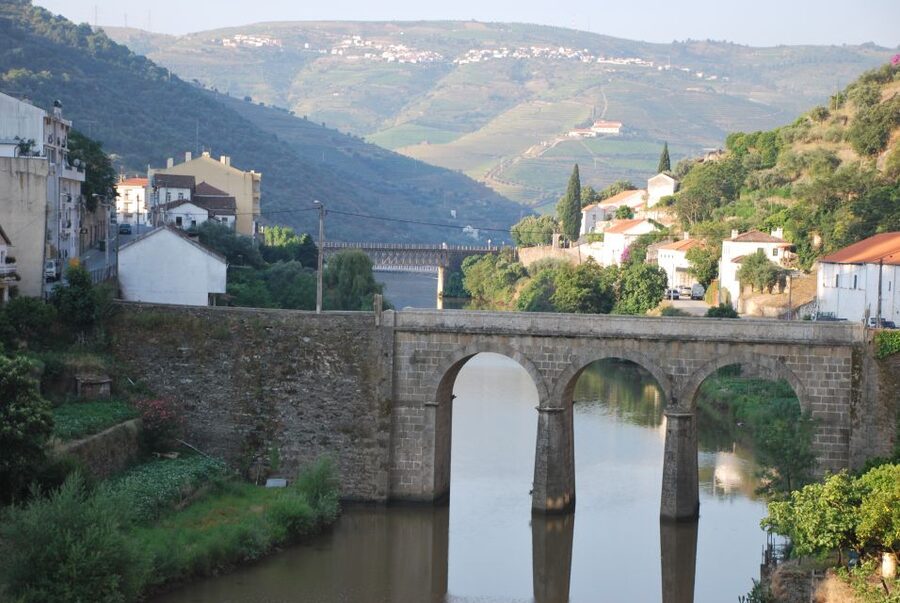 Pinhão: Douro Valley Rabelo Boat Tour and Kayak Experience - What you see from the water: vineyards, terracing, and stillness