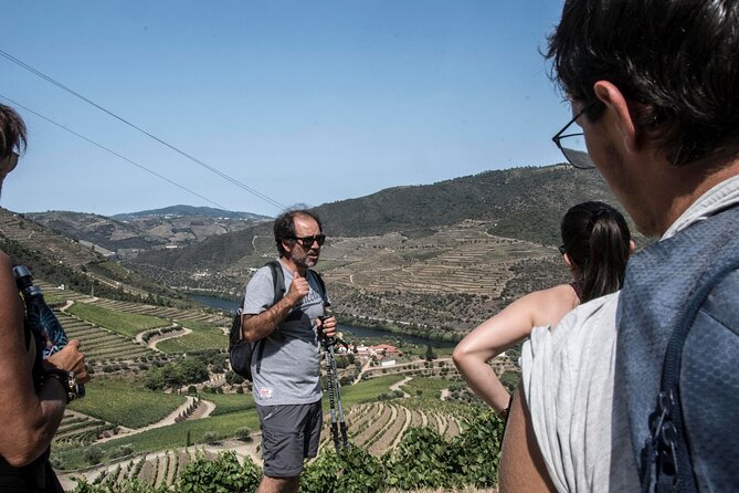 Pinhão Hiking Tour - Key highlights you’ll feel right away