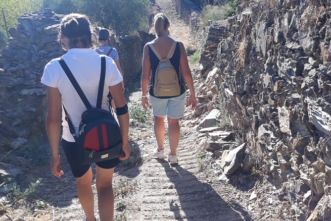 Pinhão Hiking Tour - What “low impact and sustainable” looks like in practice