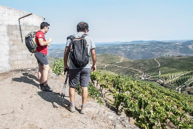 Pinhão Hiking Tour - Casal de Loivos viewpoint stop: short time, big impact