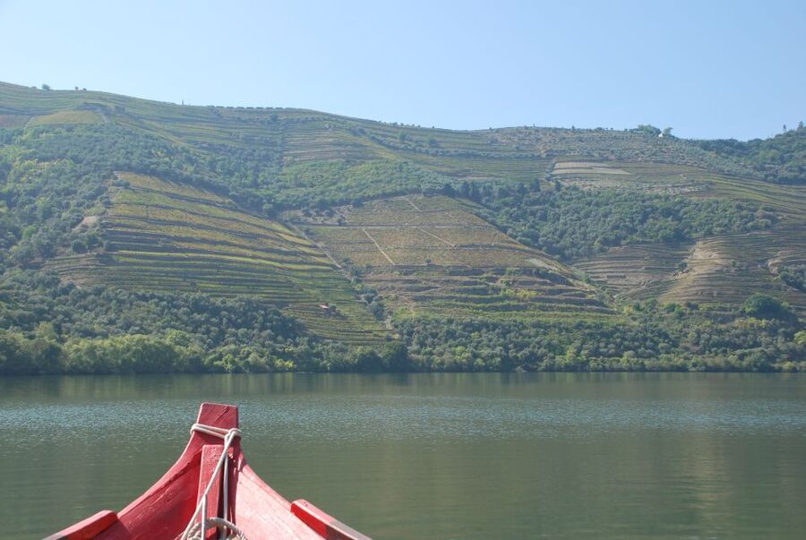 Pinhão: Rabelo Boat 1-Hour Tour - Why This 1-Hour Pinhão Boat Ride Works for Most Trips