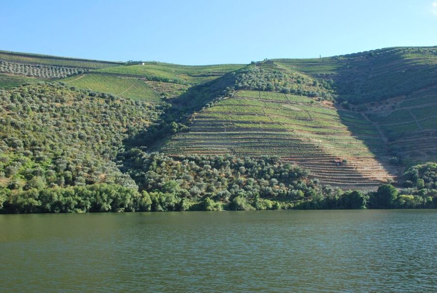 Pinhão: Rabelo Boat 1-Hour Tour - The Magnifico Douro App: How to Make the Audio Guide Actually Work