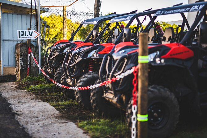Ponte de Lima Guided Buggy Tour - Driving the buggy: license rules and fitness reality