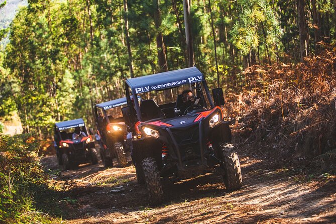 Ponte de Lima Guided Buggy Tour - Stop 1: Ponte de Lima break from the dirt tracks
