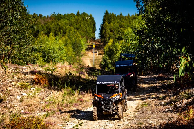Ponte de Lima Guided Buggy Tour - The dust factor: goggles, timing, and shower plans
