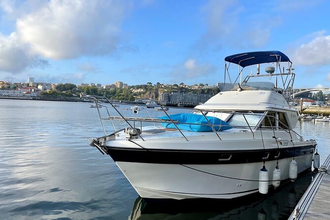 Port : 6 bridges tour with Portuguese custard tart & Port wine - Group size, guide style, and the small-boat advantage