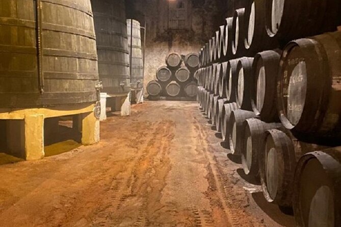 Port and Douro Wine Private Tasting and Pairing with a Sommelière - Inside the Gaia cellar: comparing Port styles like a pro