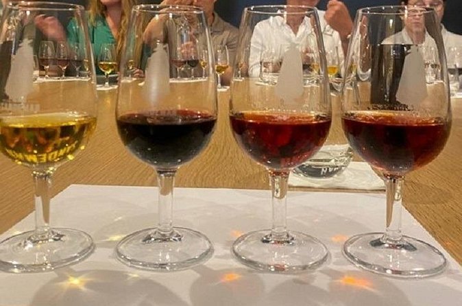 Port and Douro Wine Private Tasting and Pairing with a Sommelière - Douro still wines and petiscos: pairing rules for real life