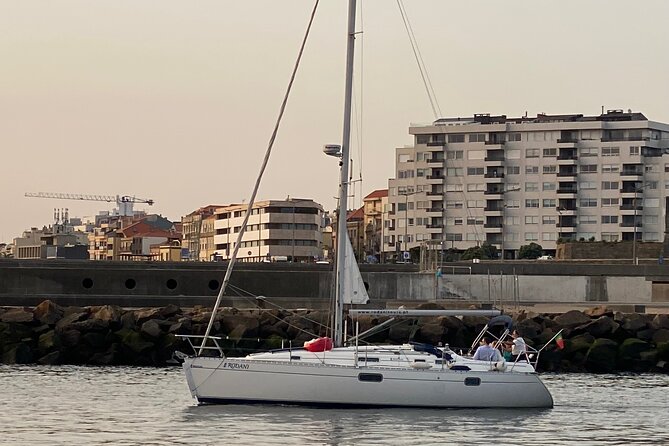Port : Douro River Cruise (2 h) – Wine & Scenic Views - Under Porto’s bridges: views with real angles, not just photos