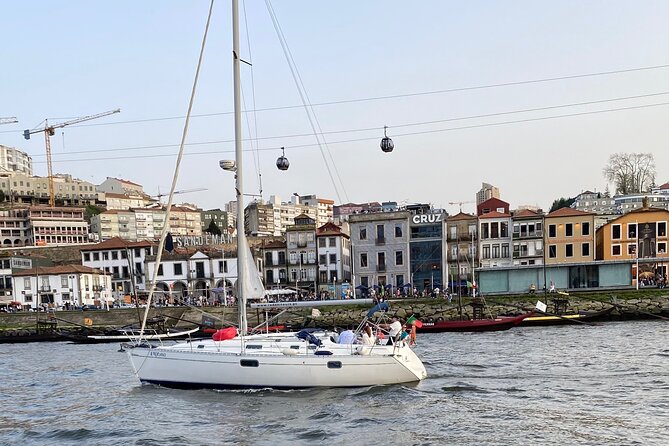 Port : Douro River Cruise (2 h) – Wine & Scenic Views - Gardens and panoramic quiet on the Douro