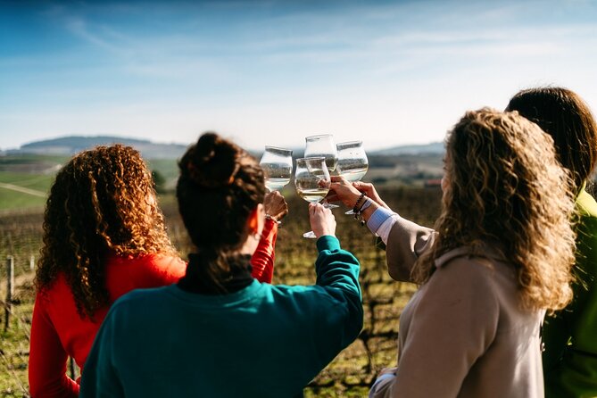 Port : Douro Valley Tour with 2 Wineries, Lunch and Cruise - Key highlights you’ll actually care about