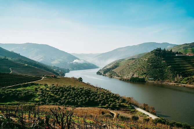 Port : Douro Valley Tour with 2 Wineries, Lunch and Cruise - Quinta de São Luiz (Adorigo): chef Vitor lunch and Port barrel cellars