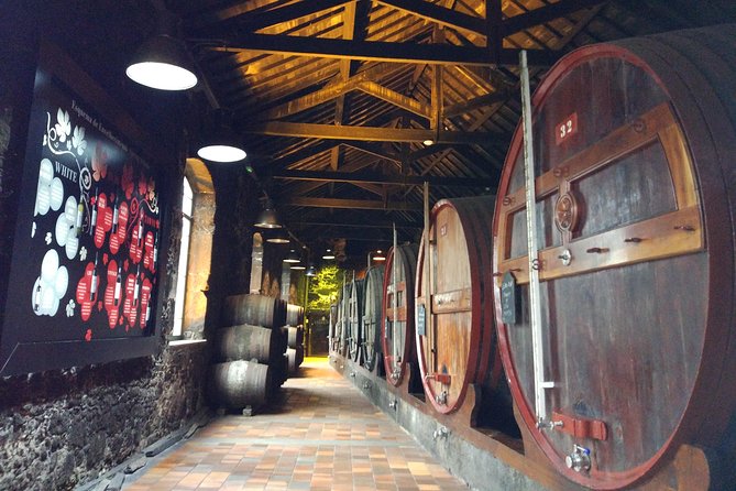Port Wine Lodges Tour Including 7 Port Wine Tastings (English) - Price and value: is $62.88 worth it?