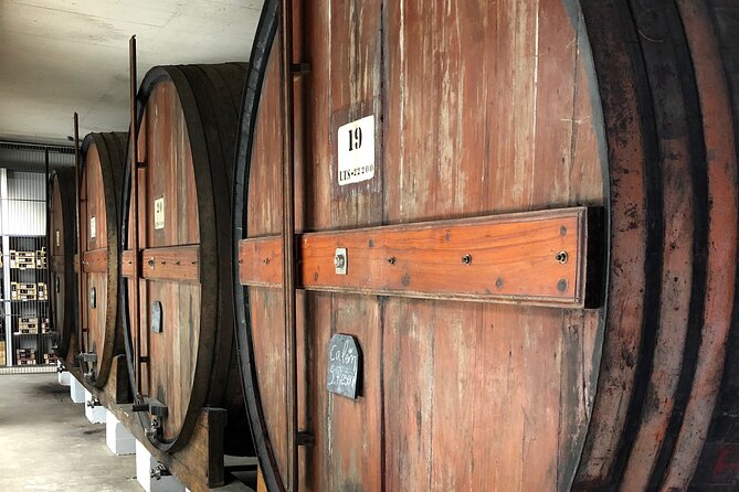 Port Wine Tour | 3 Cellars | 7 Tastings | 12 Participants Maximum - Timing, Weather, and What to Bring for a Smooth Tasting Day