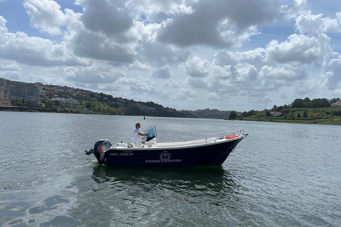 Porto: 2h Private Tour (1 to 6 people) on the Douro River with a local - Practical notes: how to make your Douro hour feel smooth