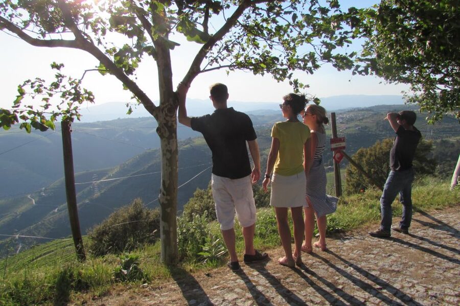 Porto: 3 Douro Valley Vineyards Tour with Lunch - Key things to know before you go