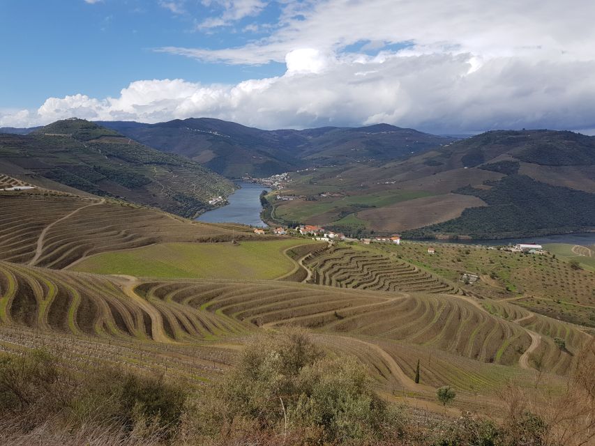 Porto: 3 Douro Valley Vineyards Tour with Lunch - Who this tour fits best (and who might want to skip it)