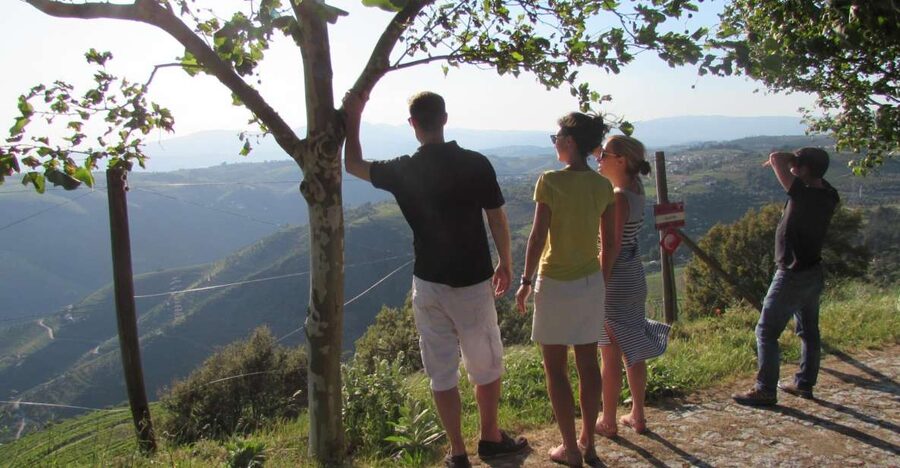 Porto: 3 Douro Valley Vineyards Tour with Lunch - Porto to Sabrosa: why the road trip feels like the point