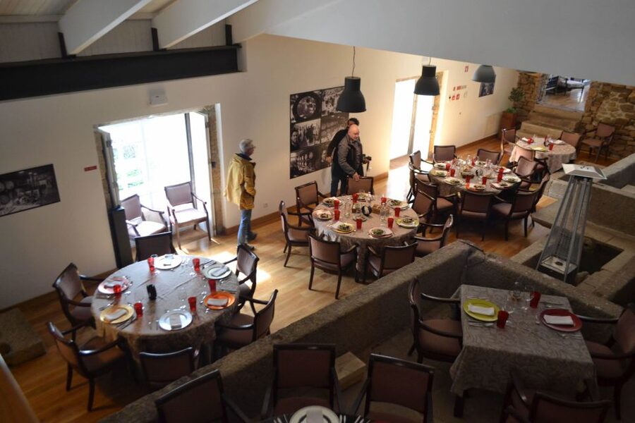 Porto: 3 Douro Valley Vineyards Tour with Lunch - Guides and van vibe: the difference between a good day and a great one