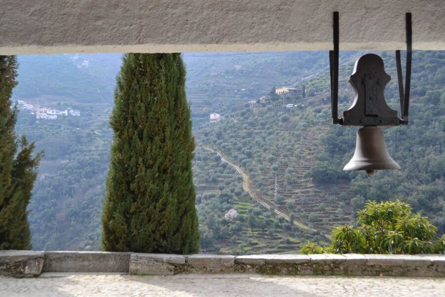 Porto: 3 Douro Valley Vineyards Tour with Lunch - Price and value: why $129 can make sense (and when it might not)
