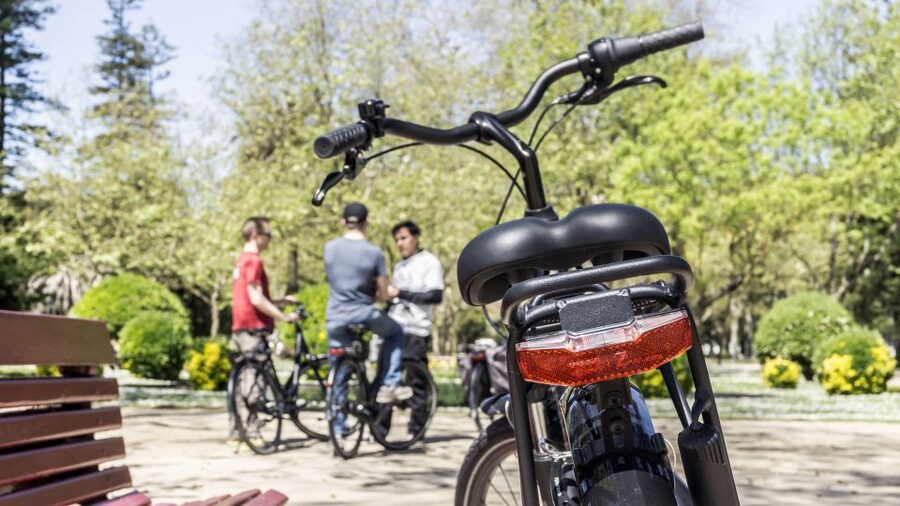 Porto: 3-Hour Bike Tour - Parque da Cidade do Porto (City Park): the ride turns calmer here