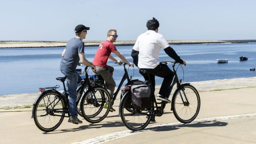 Porto: 3-Hour Bike Tour - Foz do Douro: lighthouse views, sea air, and the Douro Estuary Natural Reserve