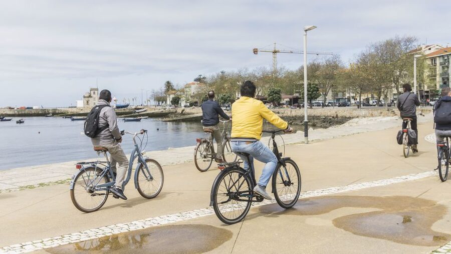 Porto: 3-Hour Bike Tour - Calém Garden birding and a fitting pause for the senses