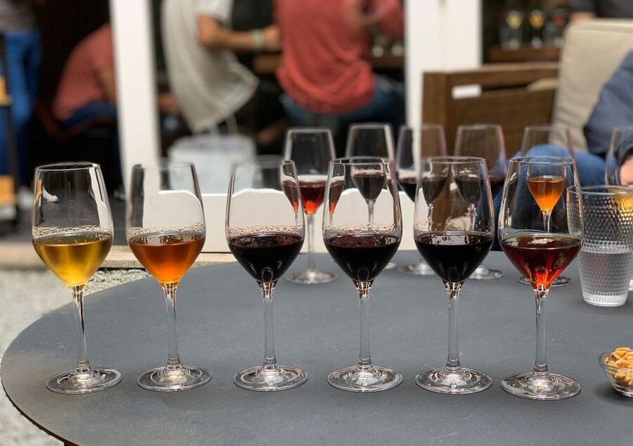 Porto: 3 or 5 Port Wine Tasting with Pairings - What Actually Happens During the Tasting Room Experience