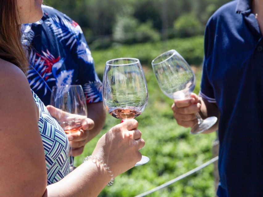 Porto: 3 Wine Regions & Farm Lunch with Views Small-Group - Who this tour fits best (and who should pass)